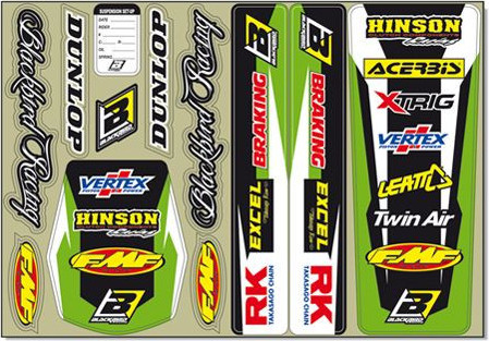 Coala Stickere Standard Logo Green 5428