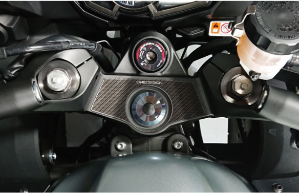 Sticker Moto Protectie Jug Kawasaki Z1000sx Ppsk6p