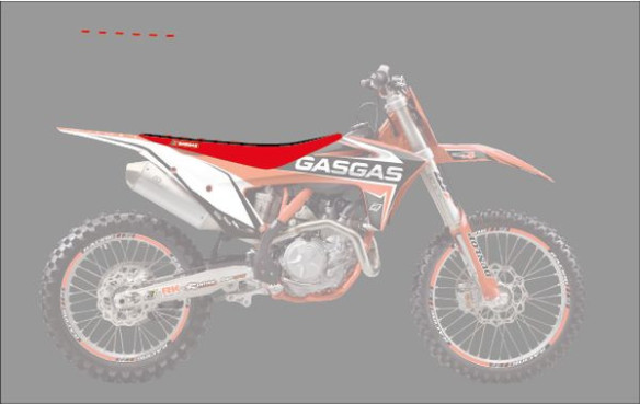 Husa Sa Zebra Gas Gas EC/MC