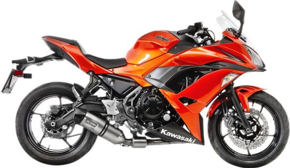 Evacuare Completa EVO SS Z650 14181EU