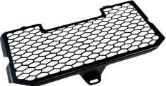 Protectie Radiator Bmw F800R 10001862