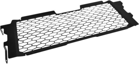 Protectie Radiator Bmw R1200R 10004370