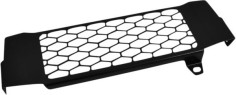 Protectie Radiator Honda Cb125R 10004618