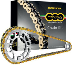 Kit Lant APR RSV 1000R-FAC KA030