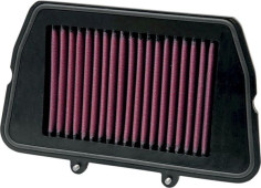 Filtru Aer TRIUMPH TIGER TB-8011