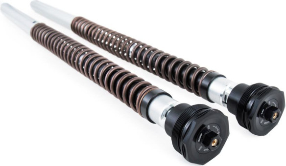Kit Cartuse Furca Ohlins Tenere 700