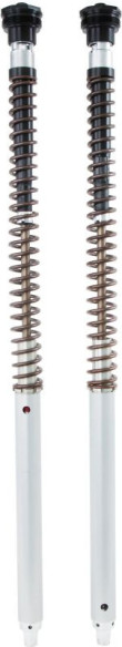 Kit Cartuse Furca Ohlins Tenere 700