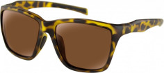 Ochelari Soare Anchor Mt Brwn Banc002p