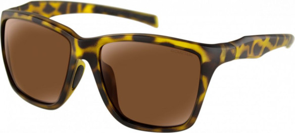 Ochelari Soare Anchor Mt Brwn Banc002p