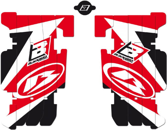 Stickere Protectii Radiatoare Ab01e Beta RR 13-19'