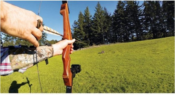 Sportsman Mount