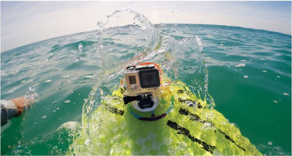 BODY BOARD MOUNT