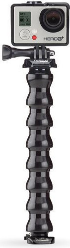Gooseneck