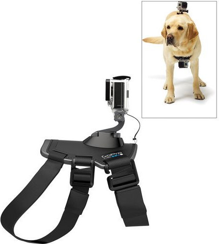 Fetch Dog Harness