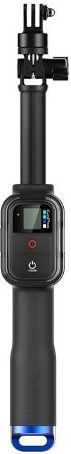 Remote Pole 39