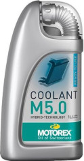 Antigel M5.0 Ready To Use 1L