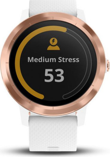 Ceas Garmin Vivoactive 3