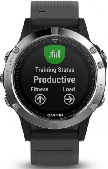 Ceas Garmin Fenix 5 Silver