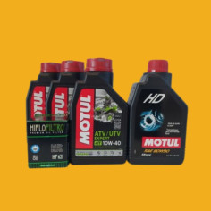 Pachet Revizie Arctic Cat 400 1000