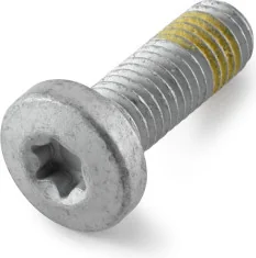 Hex screw with internal Torx with collar M10x30