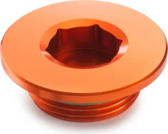 Ignition cover plug