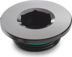 Ignition cover plug