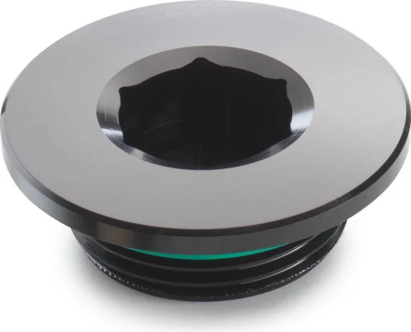 Ignition cover plug