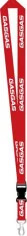 Lanyard