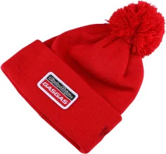 TLD Team POM Beanie