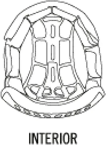 INTERIEUR FACTOR HELMET
