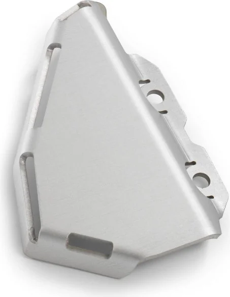 Master cylinder protection