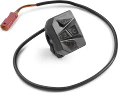 Combination switch