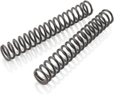 Fork spring set