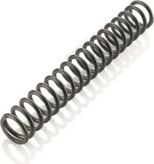 Fork spring
