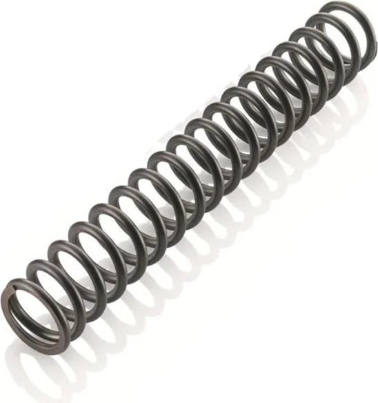 Fork spring