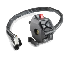 Combination switch