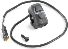 Combination switch
