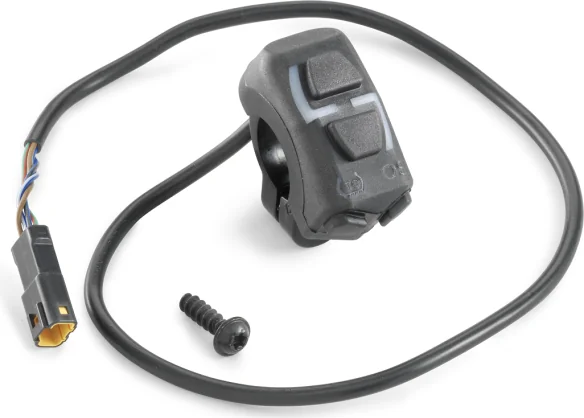 Combination switch