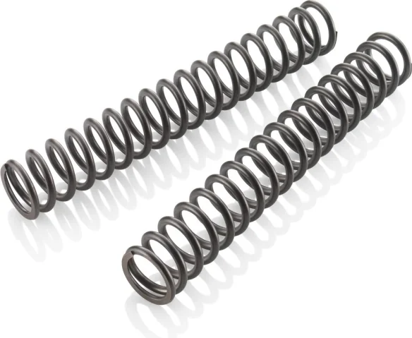 Fork spring set