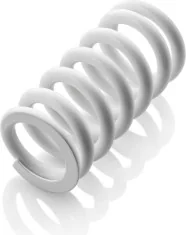 Shock absorber spring