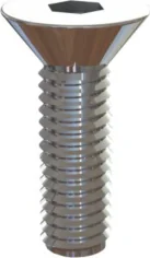 Special screw for plate