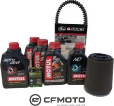 Kit revizie CFMoto 850 1000 Complet