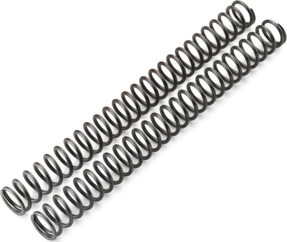 FORK SPRING SET