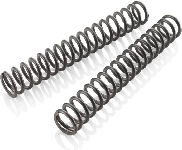 FORK SPRING SET