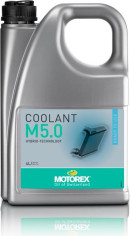 Antigel M5.0 Ready To Use 4L