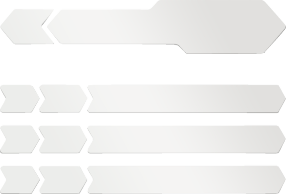 Chain Protector Decal Clear
