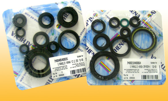 Engine Oil Seal