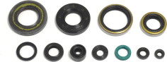 Engine Oil Seal