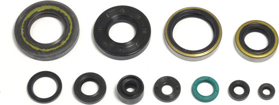 Engine Oil Seal