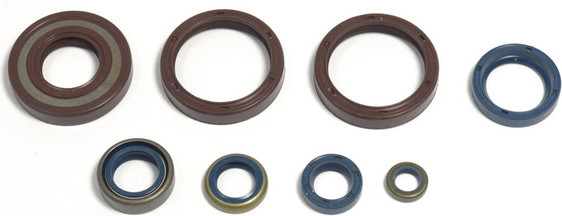 Engine Oil Seal